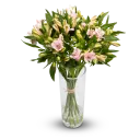 Kytice alstromerii